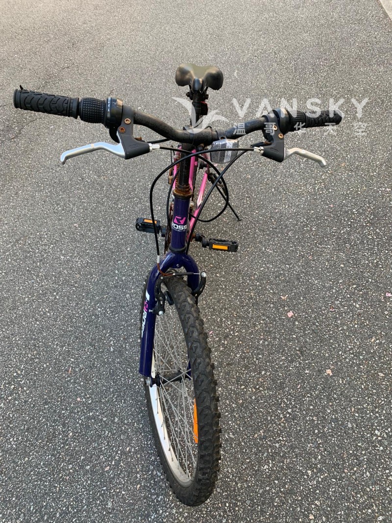 260503113824_Ross 24 inch bike 3O5.jpeg